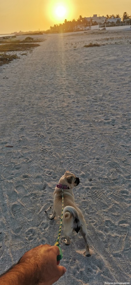 Cardio y amanecer, nada mejor para motivarte en días tristes